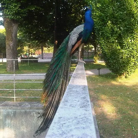 The Famous Peacock House Porto